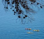 The extended family joins together for sea kayaking in Croatia