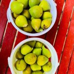Figs - a summer treat throughout Central Asia. Photo credit: Abdu Samadov