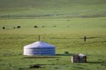 Nomadic life on Mongolia's steppe. Photo credit: Helge Pedersen