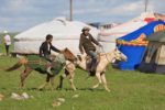 Young horsemen on the steppe. Photo credit: Helge Pedersen