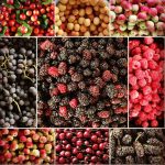 Freshly harvested Central Asian berries. Photo credit: Abdu Samadov