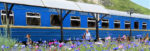 A Golden Eagle train at a station in Siberia, Russia. Photo credit: Bill Adams