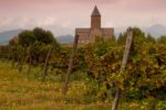 Alaverdi Monastery and Vineyards in the Kakheti region of eastern Georgia. Photo credit: Caucasus Travel
