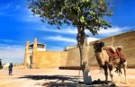 Ark Citadel in Bukhara, Uzbekistan. Photo credit: Abdu Samadov