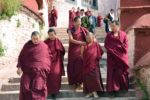 Tibetan monks. Photo credit: Russ Cmolik & Ellen Cmolik