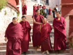 Monks in Lhasa, Tibet. Photo credit: Russ Cmolik & Ellen Cmolik