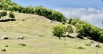 Pillboxes in the Albanian countryside. Photo credit: Michel Behar
