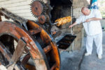 Roasting chickens on a medieval spit at the Samovodene Market. Photo credit: David W. Allen