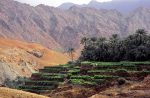 Falaj irrigation keeps the Jebel Akhdar countryside green. Photo credit: Oman Tourist Board