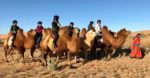 Riding bactrian camels in Mongolia. Photo credit: Michel Behar