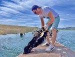 Farming fresh mussels in Albania. Photo credit: Michel Behar