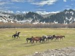 A shepherd with his horses in Kyrgyzstan.