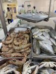 Fish market in Ras al Khaimah, UAE. Photo credit: Luba Rudenko