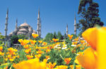 The Sultan Ahmet Blue Mosque in Istanbul.