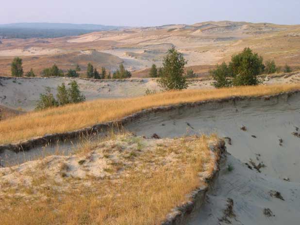 The vegetation on the dunes helps to stabilize the Curonian Spit. Photo credit: Lithuanian State Department of Tourism