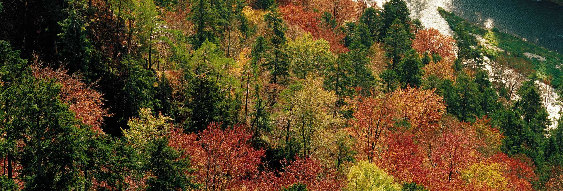 Photo credit: Polish National Tourist Board