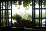 A relaxing morning view from a window of a small hotel in Veliko Tarnovo, Bulgaria Photo credit: Liz Tollefson