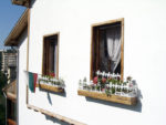 A windowsill garden in Veliko Tarnovo, Bulgaria. Photo credit: Liz Tollefson