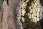 Samosas baking in a clay oven. Photo credit: Jake Smith