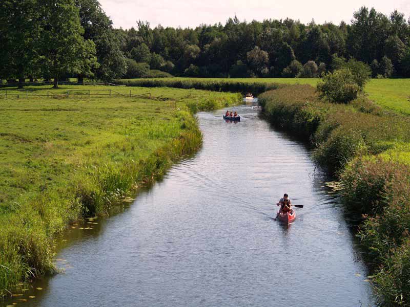 Summer meadows in Soomaa, Estonia. Photo credit: Aivar Ruukel