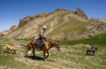 Shepherds in Kyrgyzstan. Photo credit: Jered Gorman