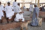 The Nizwa Friday Market in Oman's Interior. Photo credit: Desert Adventures