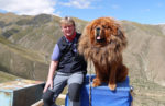 Meeting a Tibetan mastiff at Kampala Pass. Photo credit: Martin Klimenta.