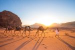 Crossing Wadi Rum with a train of camels. Photo credit: Jordan Tourism Board