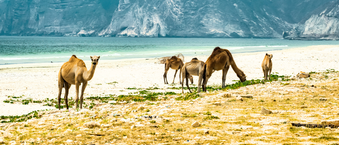 5 Under-the-Radar Destinations to Visit in 2025 | MIR corp