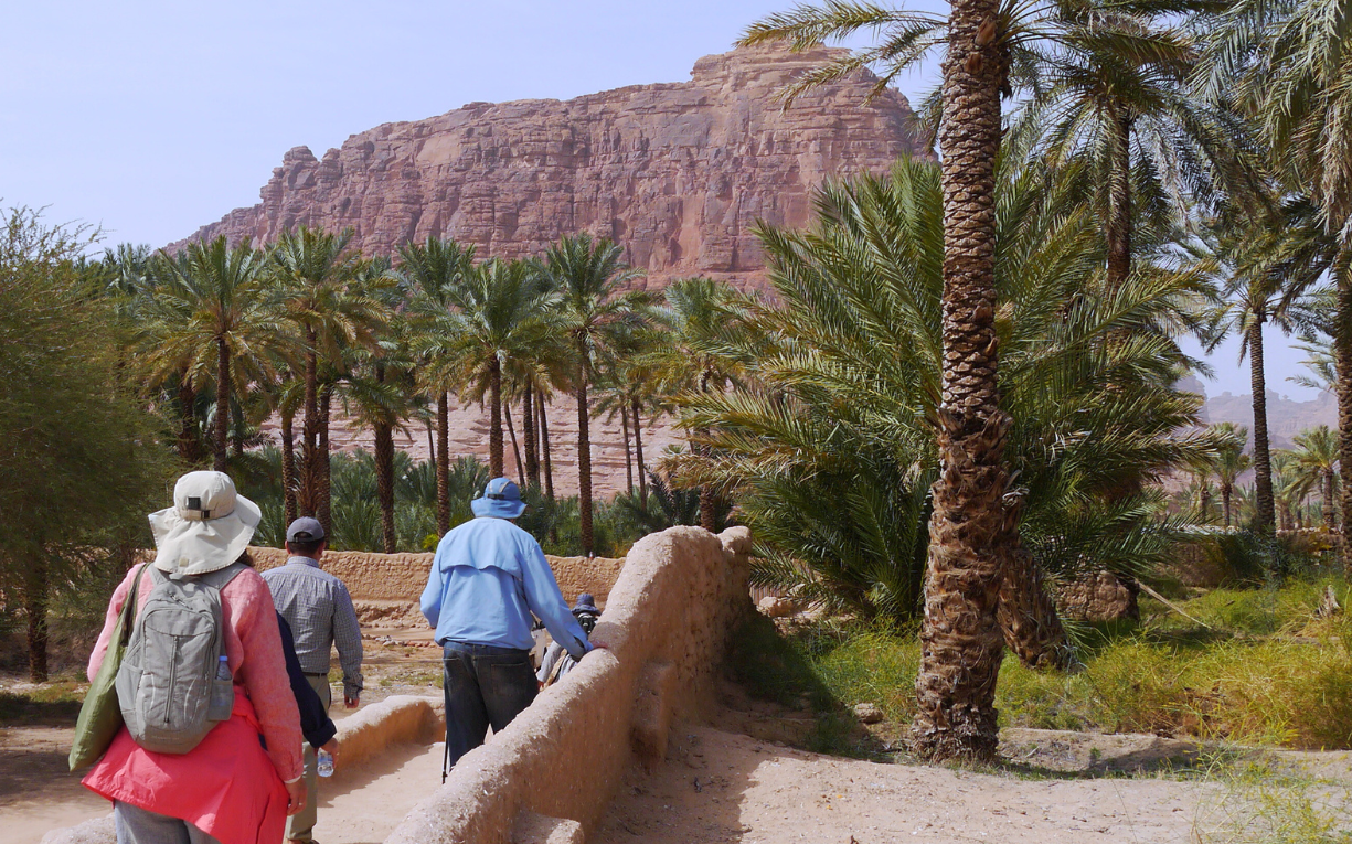 Middle East Wonders: Old Worlds and New Horizons | MIR corp