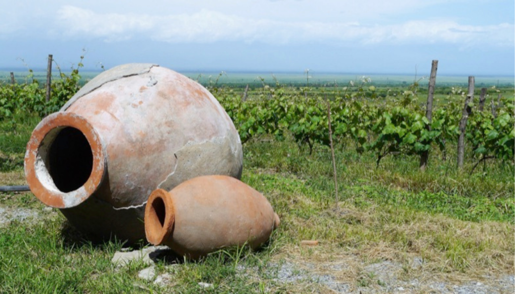 Explore MIR Destinations Through Food and Drink | MIR