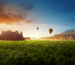 Hot air balloons float over a lush green landscape if AlUla Saudi Arabia